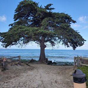 On the beach, sun-loungers - Oceanfront & Access, Epic Views & Sounds, Pool, Gated & easy Parking, Prime Spot (Monterey)