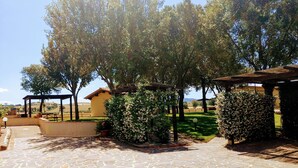 Une cour dallée de pierres, agrémentée d’une pergola, d’un petit bâtiment jaune et d’une végétation luxuriante.