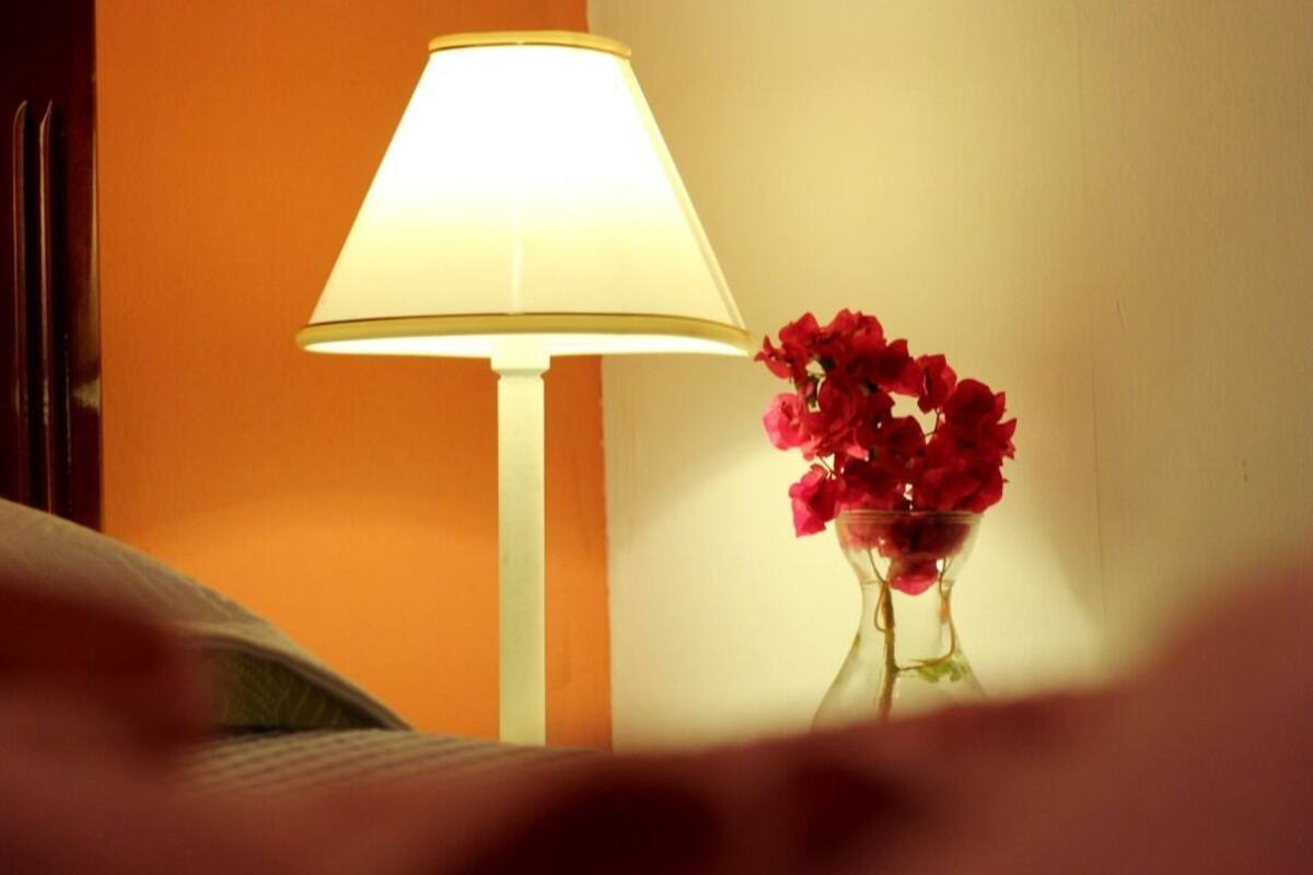 A bed with a white comforter, a bedside lamp, and a vase with red flowers.
