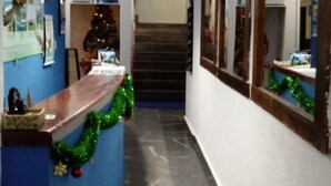 A reception area with a blue counter, a Christmas tree, and a staircase leading to an upper floor. - Aldeia Produções Hostel & Bar (Búzios)