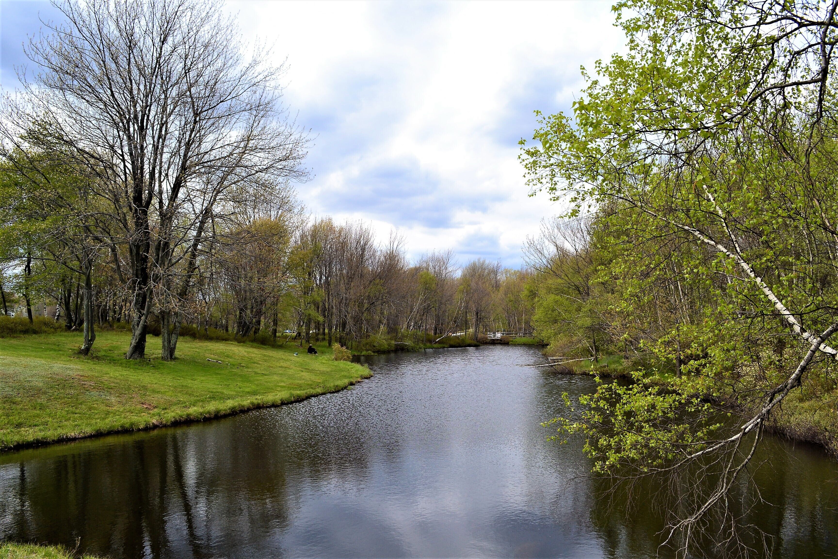 A calm river with trees on both sides, a grassy bank, and a clear sky.