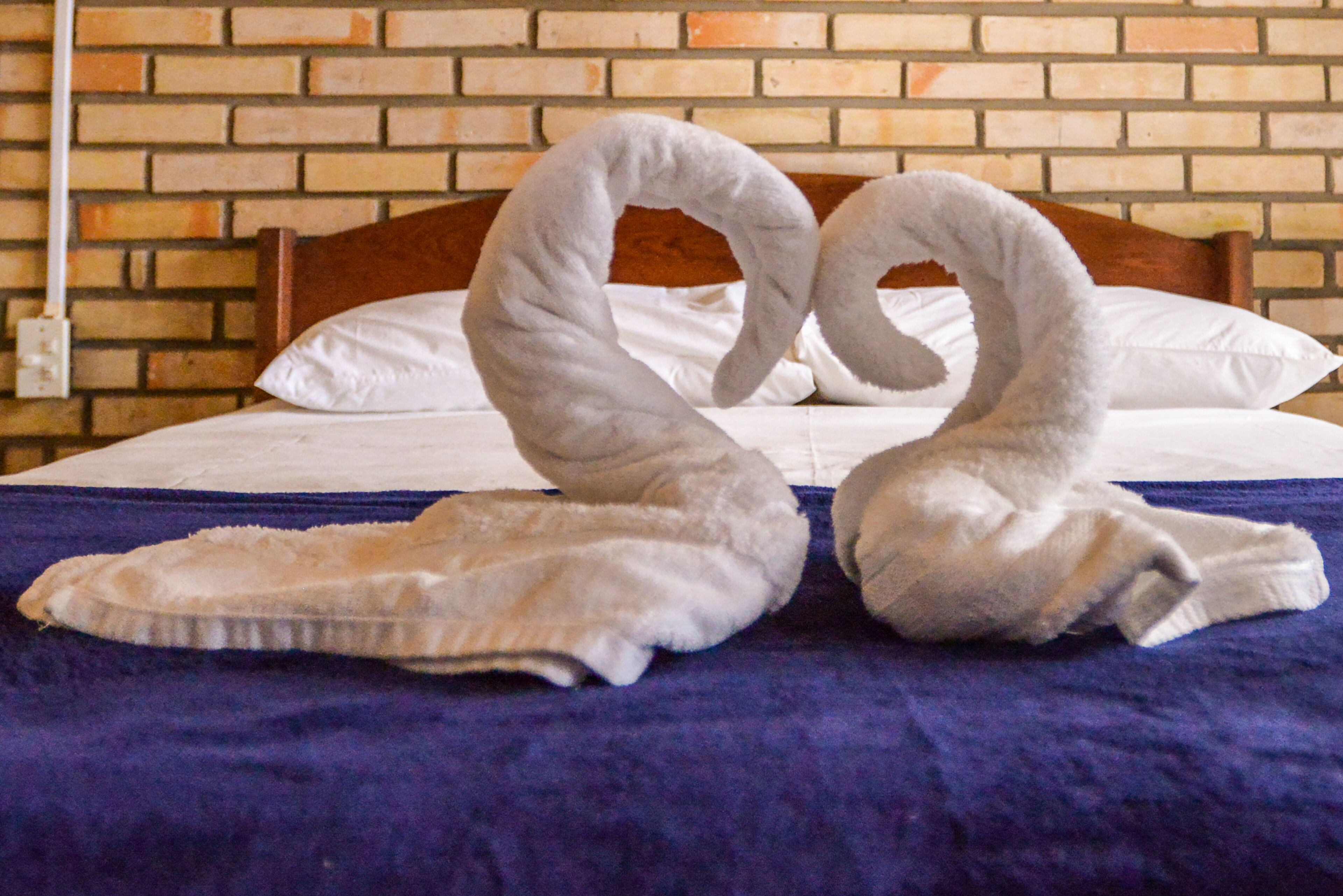 A bed with a blue blanket and two swan-shaped pillows.