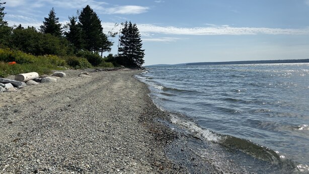 A pebbled beach with trees and a clear sky. - Fox Run Ocean Cottage (Trenton)