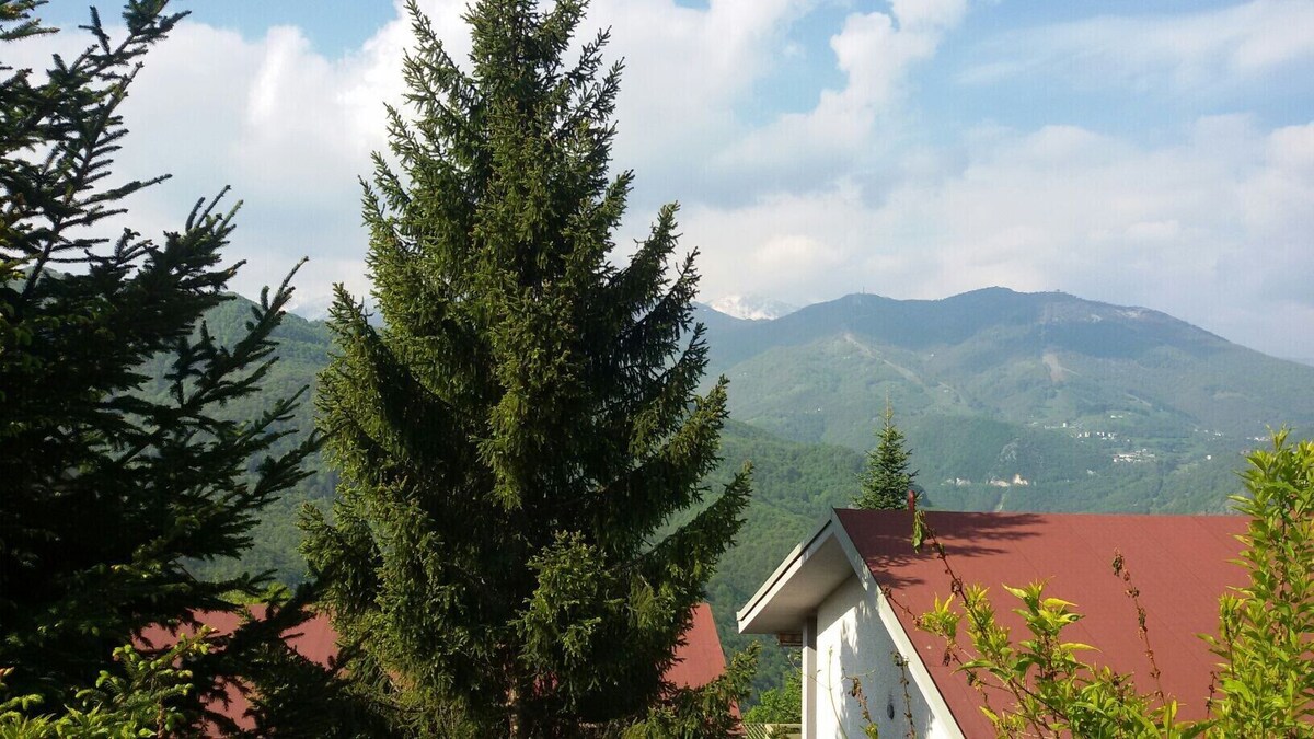 Image de profil de l’hôte