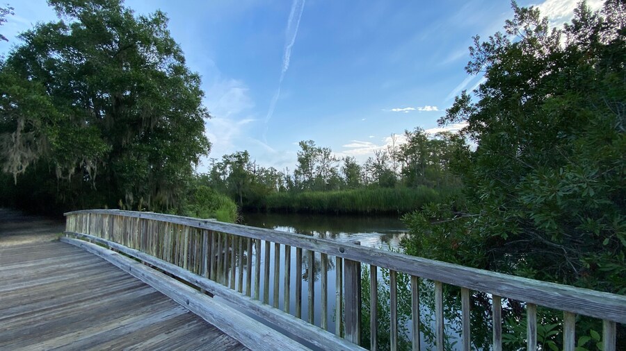 Royal Inn Richmond Hill- Savannah I-95