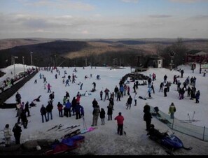 Snow and ski sports - Luxury Chalet Masthope Near Narrowsburg & Delaware (Masthope)