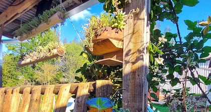Cape Town Hostel