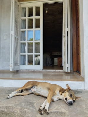 Lions Head - Cape Town Hostel (Cambara do Sul)