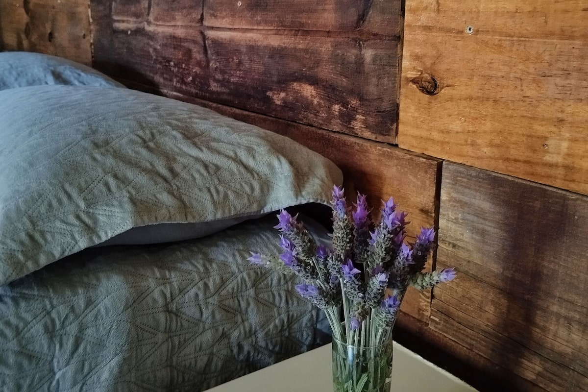 Lions Red | Decoración personalizada, muebles diferentes y wifi gratis