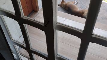 Lions Head | Individually decorated, individually furnished, free WiFi, bed sheets