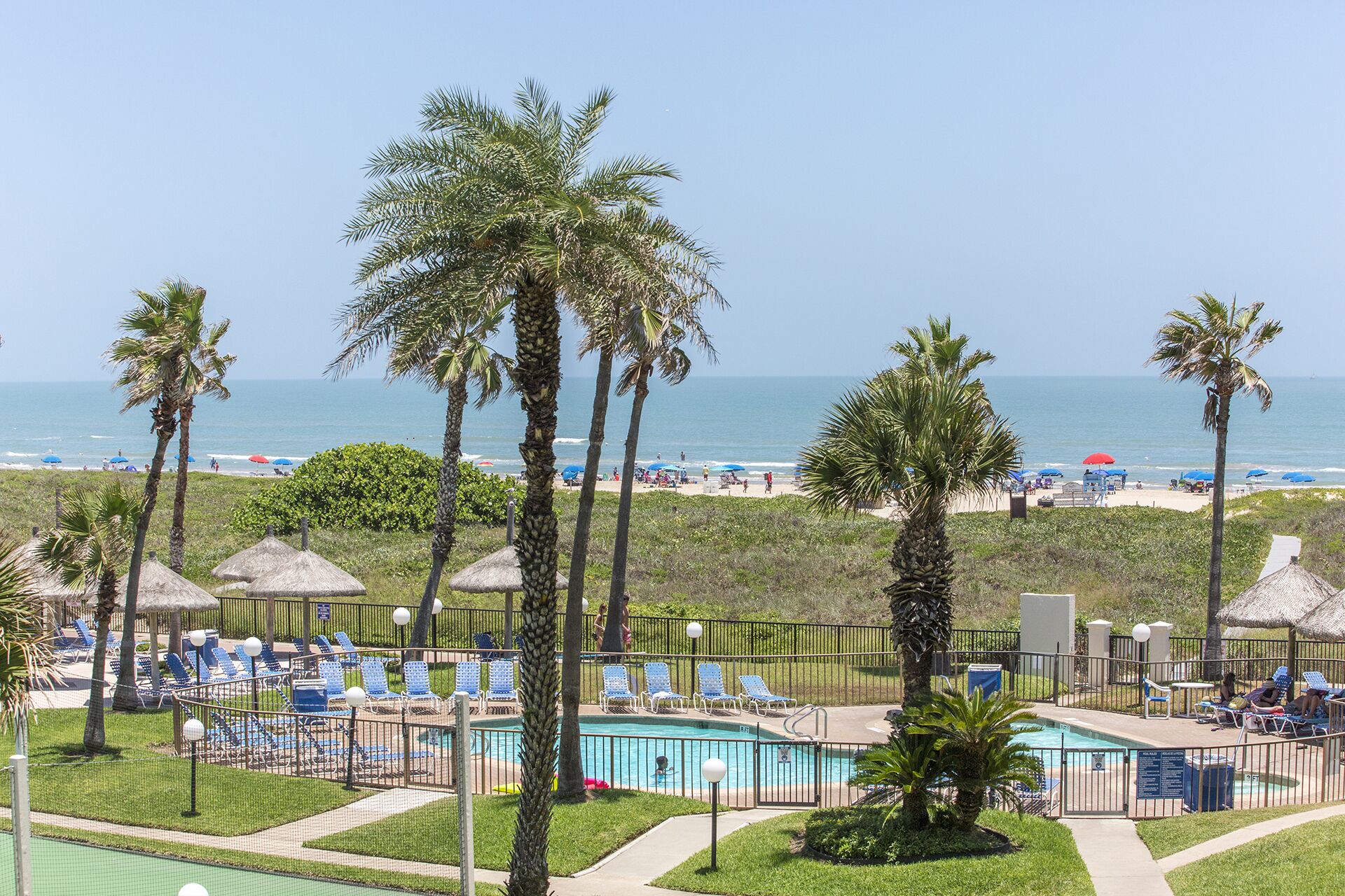 Un complexe hôtelier doté d’une piscine, d’une plage et de palmiers.