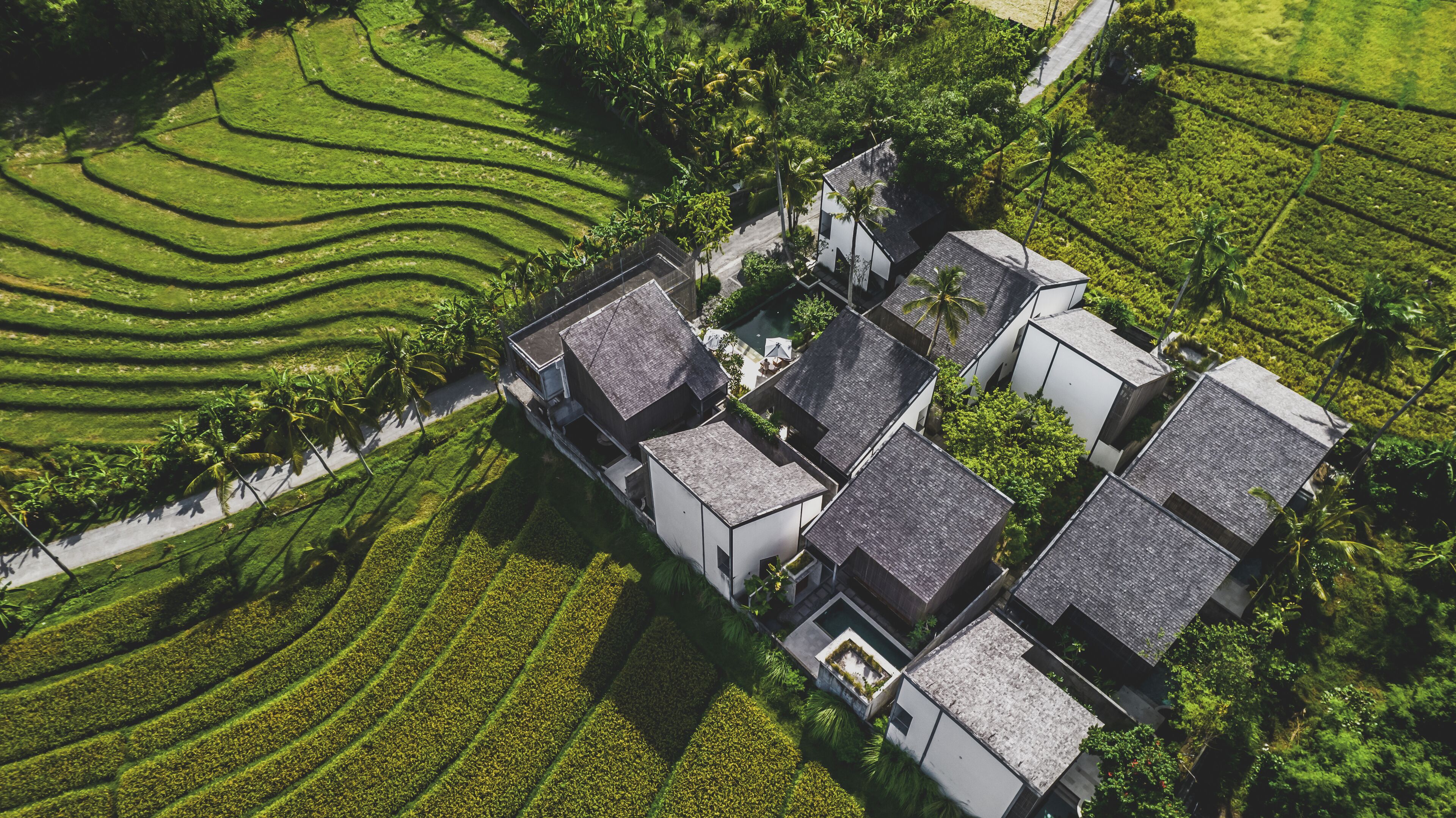 تصميم المبنى