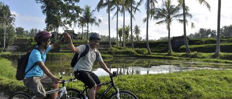 Deux personnes à vélo sur une piste, avec un plan d’eau et des palmiers en arrière-plan.