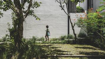 Una persona caminando por un sendero de piedra rodeado de follaje y un muro blanco.