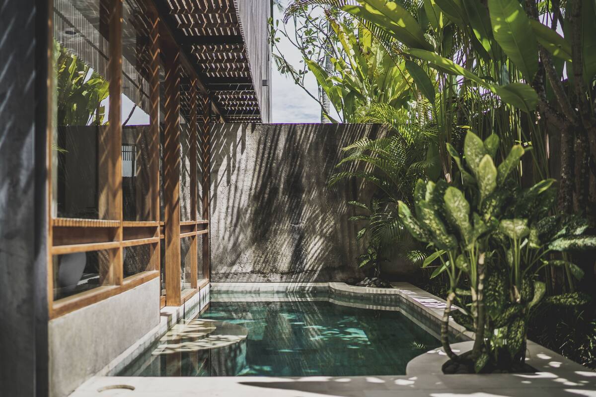 A pool area with a stone wall and wooden deck, surrounded by lush tropical plants.