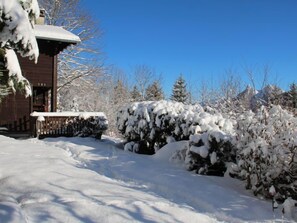 Property grounds - Vacation home Henri by Interhome (Moléson-sur-Gruyères)