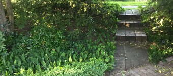 FeWo am Ringkanal - Holiday apartment Am Ringkanal