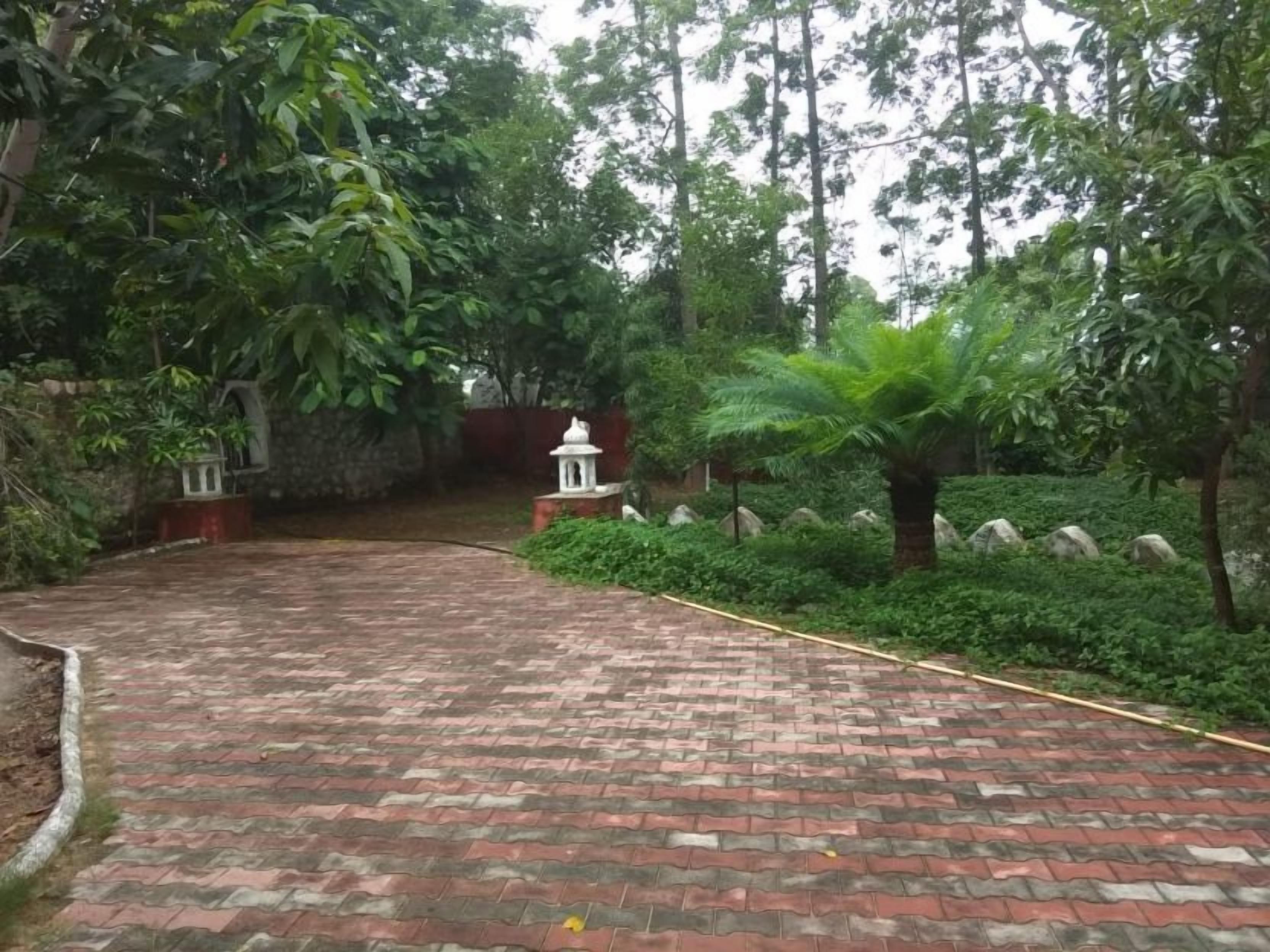 Un sendero pavimentado que atraviesa un exuberante jardín con un farol pequeño y blanco y una palmera.