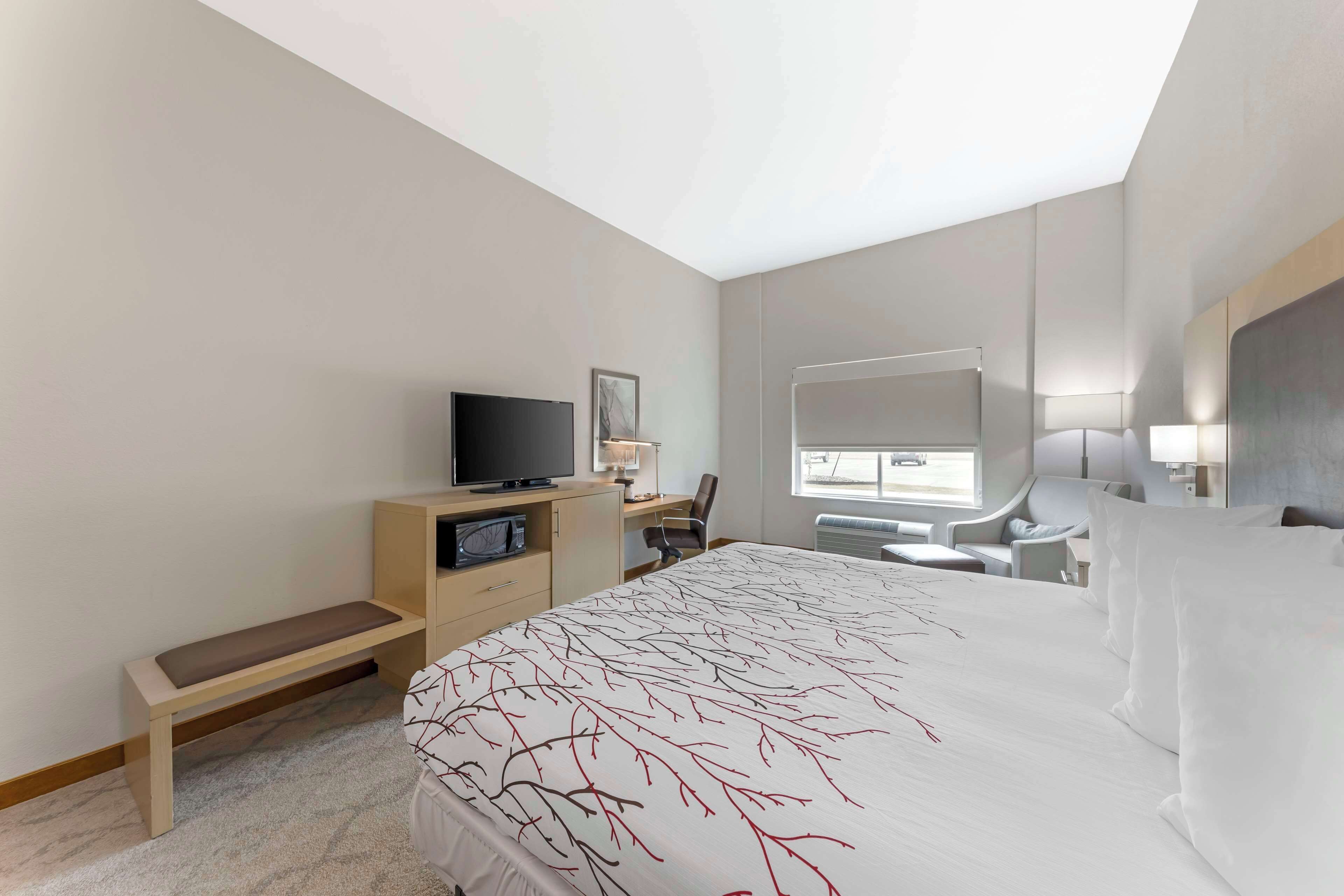 standard room, 1 king bed, accessible, refrigerator & microwave | desk, laptop workspace, blackout curtains, iron/ironing board