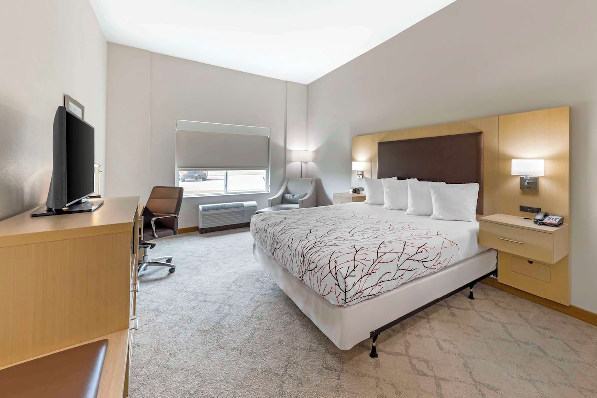 A hotel room with a large bed, a desk with a flat-screen TV, a chair, a desk lamp, and a bedside table with a lamp.