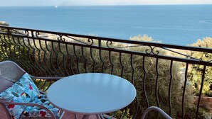 Property grounds - Villa CASAIOLA facing the sea (San-Martino-di-Lota)