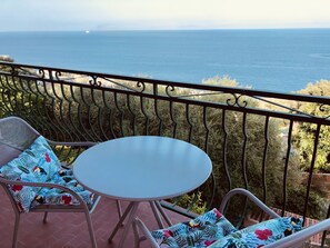 Property grounds - Villa CASAIOLA facing the sea (San-Martino-di-Lota)