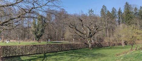 Parco della struttura