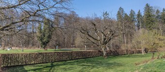 Attic Holiday Apartment “Haus Hasenweide” close to Lake Constance with Balcony