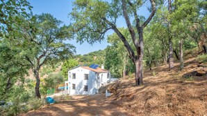 A white house with a red roof, surrounded by trees, and a dirt path leading to it.