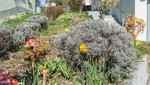 Un jardín con diversas plantas y una decoración de seta original.