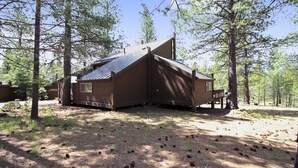 Een chalet met een schuin dak, schoorsteen en terras.