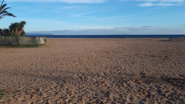 A sandy beach with a wooden fence and palm trees. - T2 Les Lilas ,plage 300m (Hyères)
