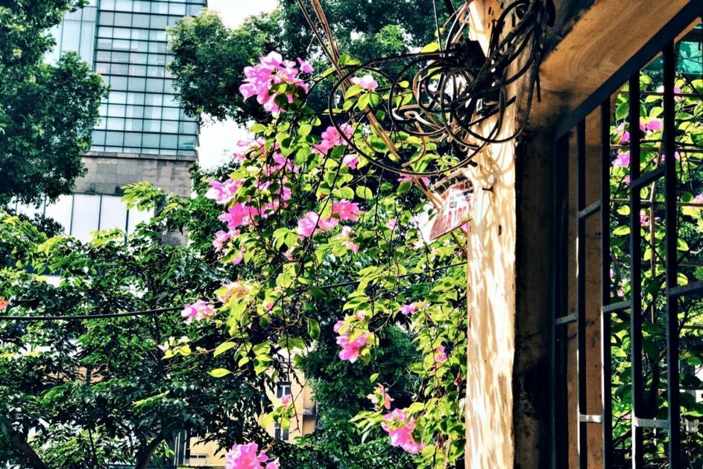 تفاصيل الفندق من الخارج