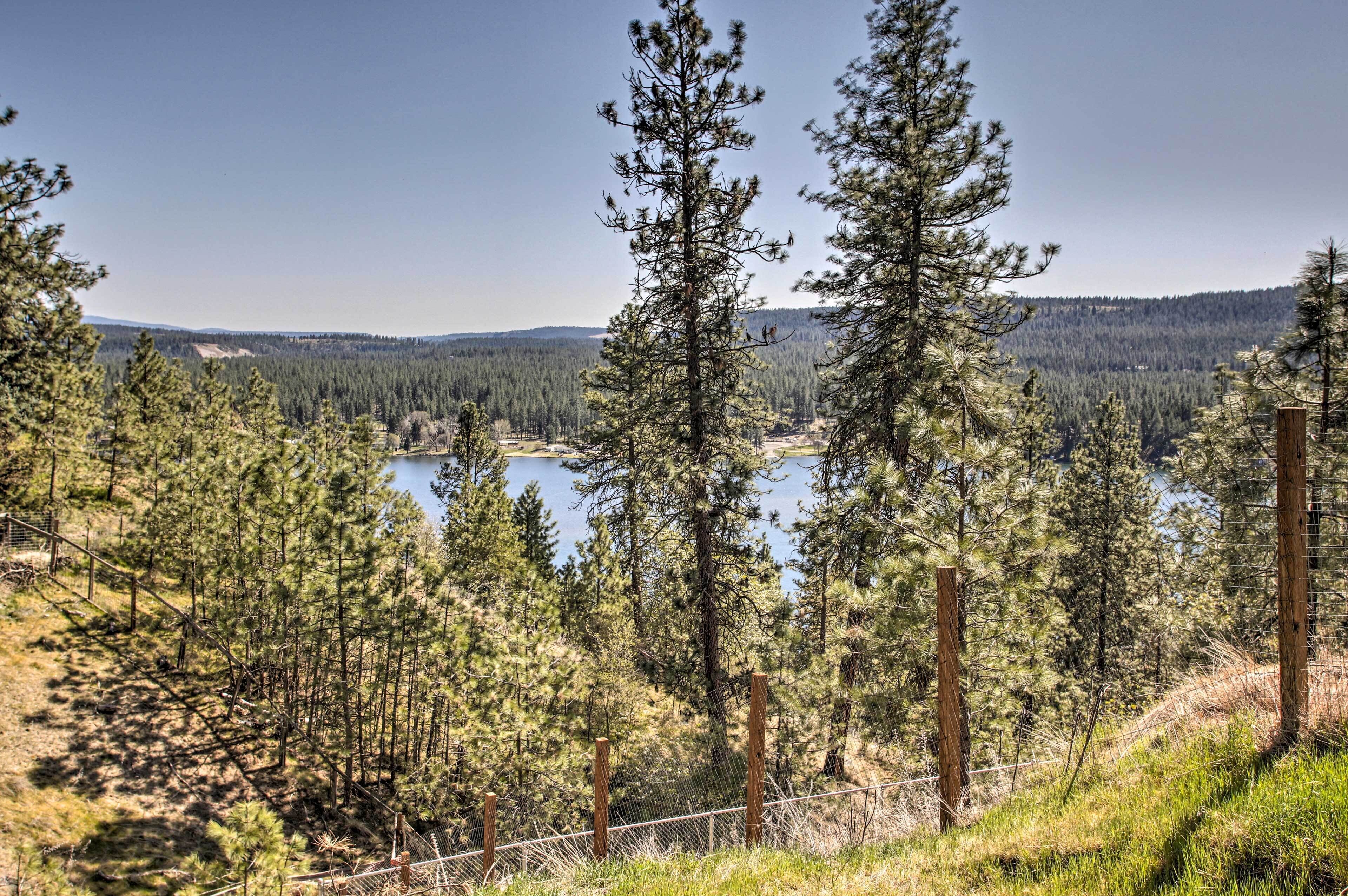 A forested area with a lake and a clear sky.
