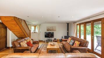 Télévision, cheminée, lecteur de DVD, livres