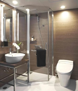 Regadera tipo lluvia, secadora de cabello, toallas