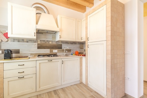 Frigorífic, microones, placa de cuina i rentaplats