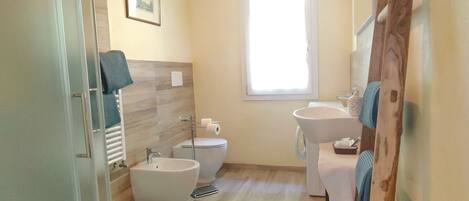 Shower, hair dryer, bidet, towels