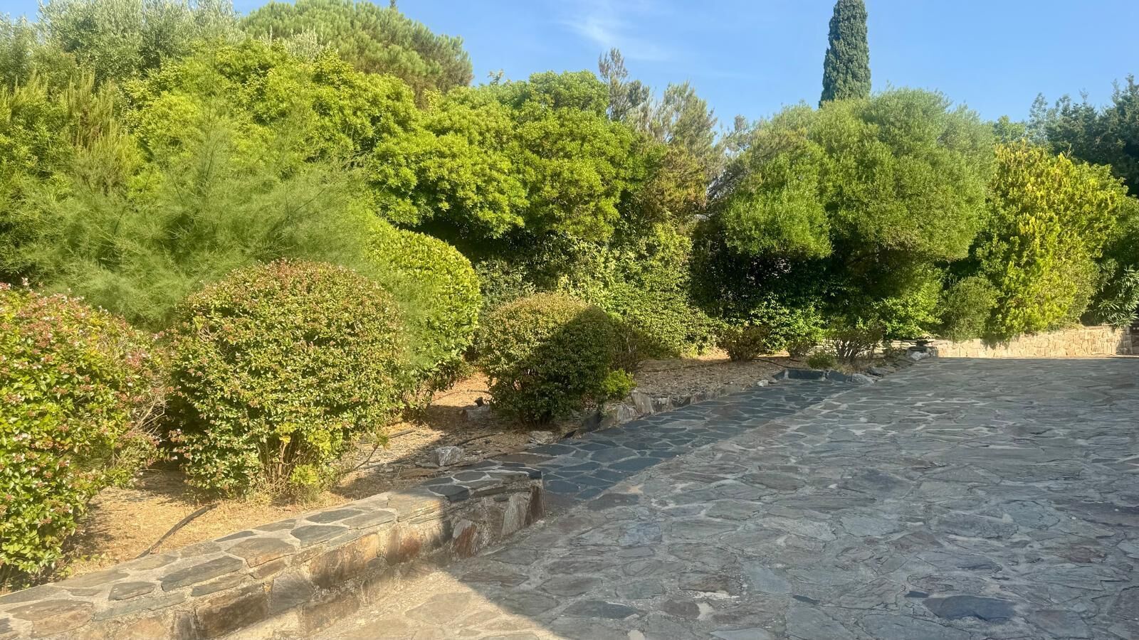A stone pathway leading through a garden with various shrubs and trees.