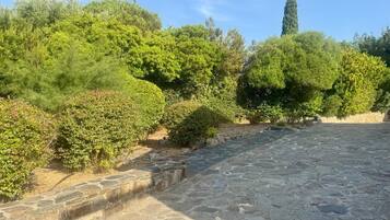 A stone pathway leading through a garden with various shrubs and trees.