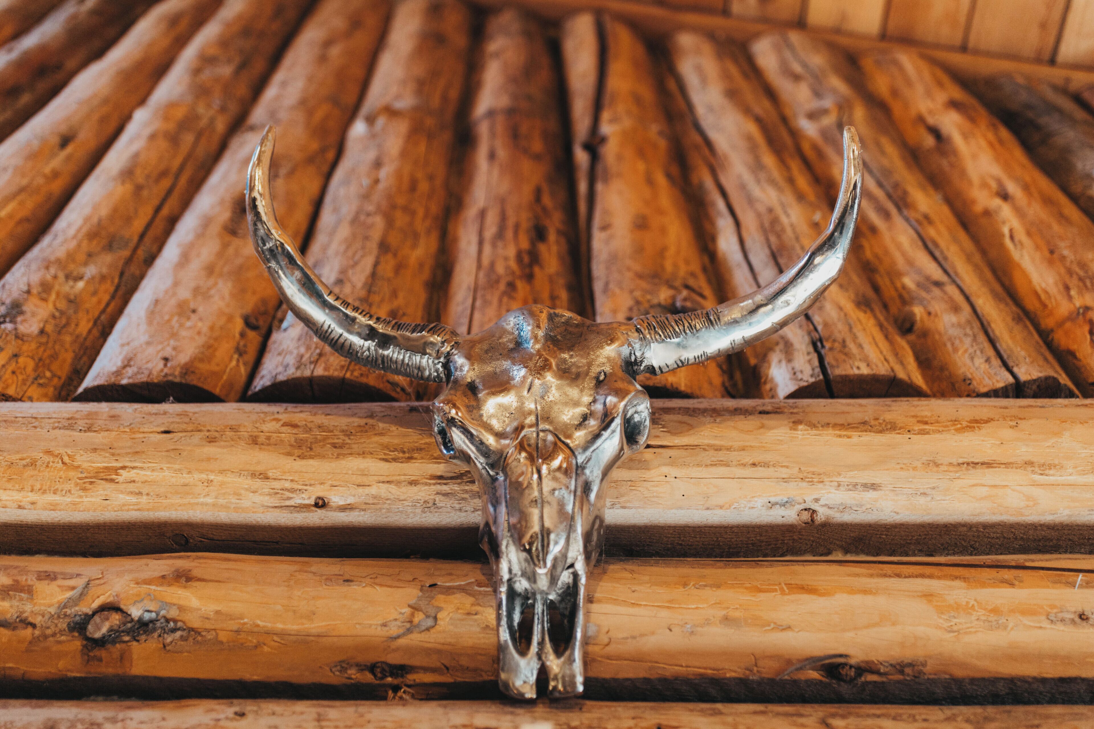 A wooden structure with a bull skull in the foreground.