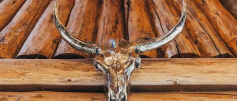 A wooden structure with a bull skull in the foreground.