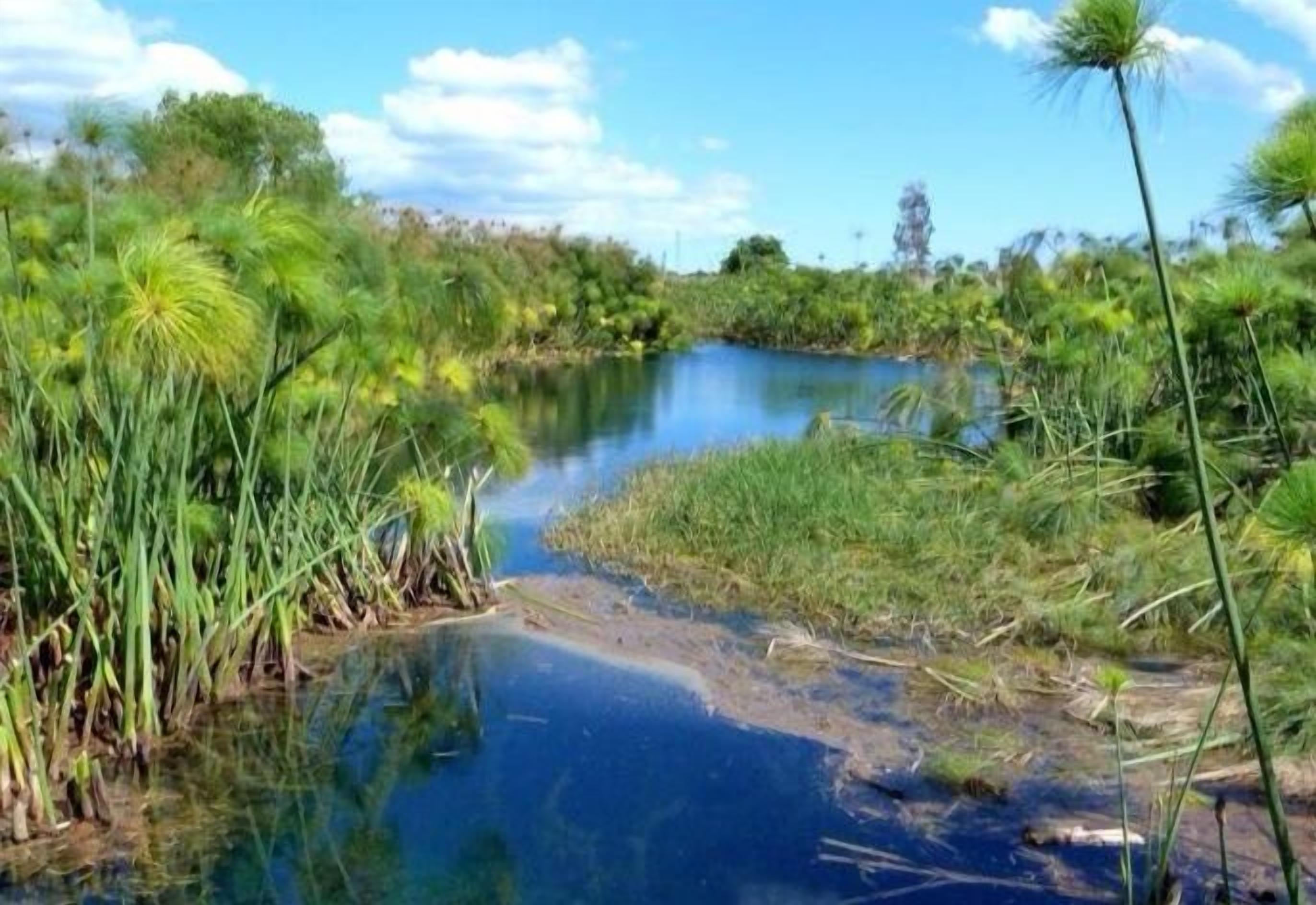Un paysage naturel avec une rivière, une végétation luxuriante et un ciel dégagé.