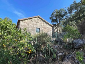 A stone building with a small window, surrounded by greenery and cacti.