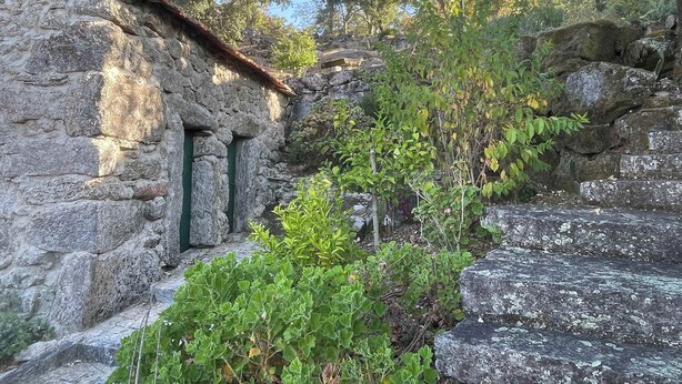 Un edificio de piedra con una puerta verde, rodeado de follaje y árboles.