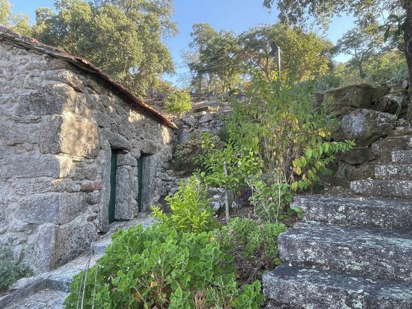 Jardines del alojamiento