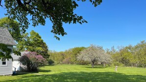 Um gramado bem cuidado com uma casa branca, uma árvore grande com flores cor-de-rosa e um céu azul límpido.