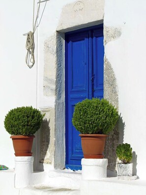 Un bâtiment blanc avec une porte bleue, deux plantes en pot et une corde suspendue au mur.