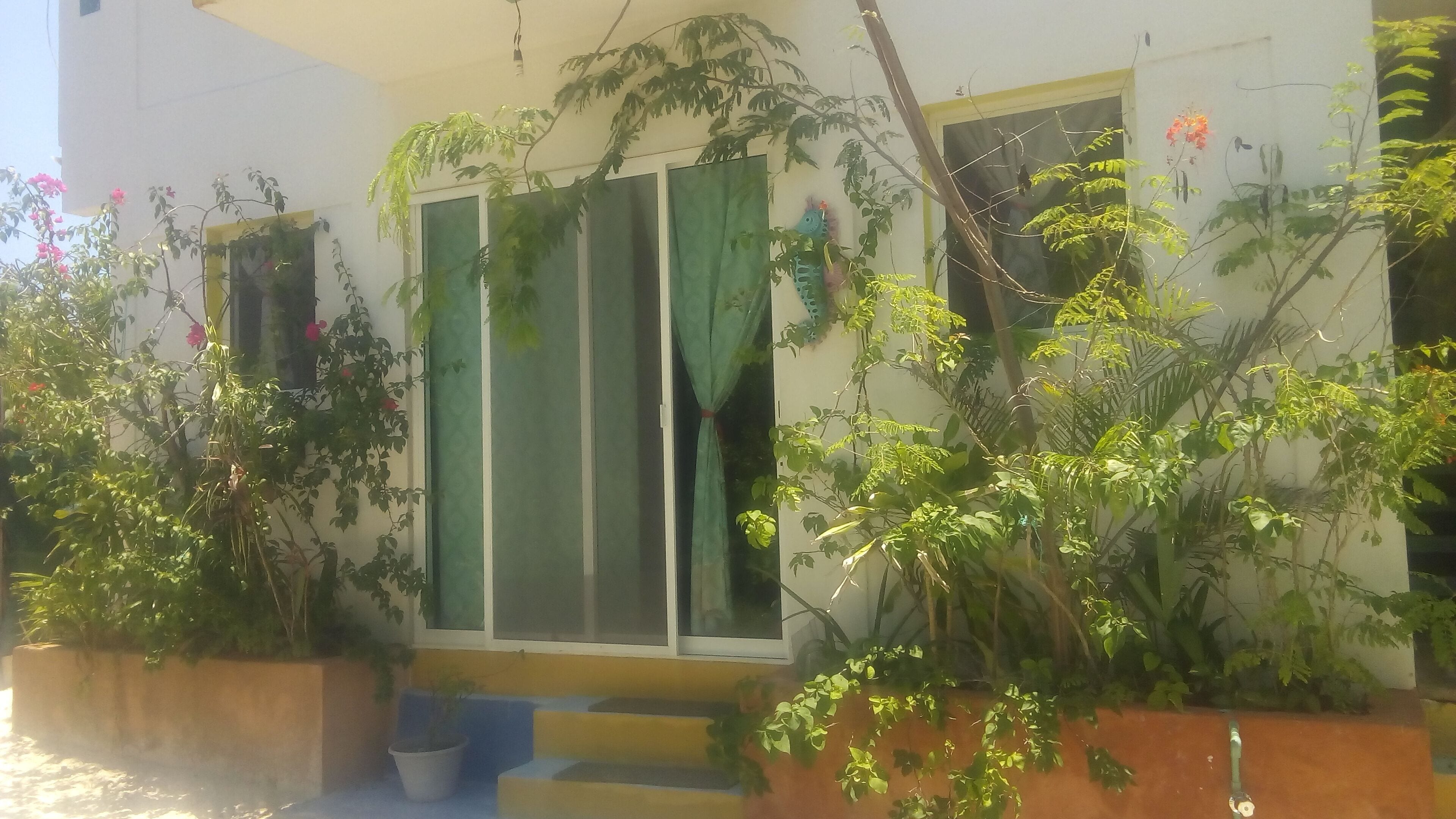 Foto - Casa Vainilla Holbox Island