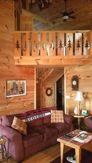 Télévision, cheminée, livres